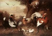 Jakob Bogdani Fowls and Owl oil painting picture wholesale